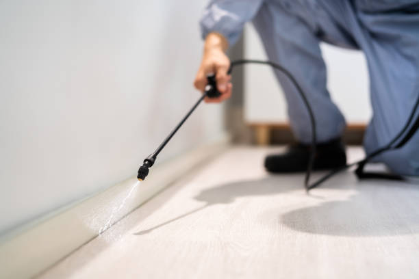 Licensed Termite Control service in Olivette, MO - Nex Pest Control