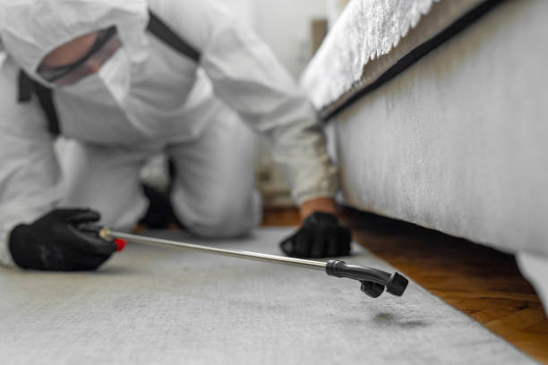 Professional Termite Control technician working in Olivette, MO