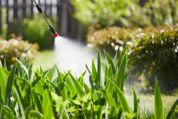 24/7 Emergency Termite Control experts in Olivette, MO